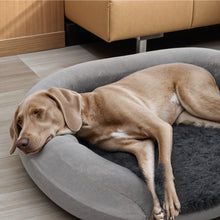 Load image into Gallery viewer, Orthopedic Memory Foam Egg-Shaped Dog Bed
