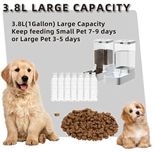 Load image into Gallery viewer, 2pc Set Automatic Pet Feeder
