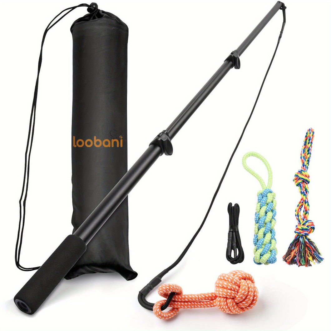 Extendable Flirt Pole for Dogs