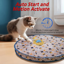 Load image into Gallery viewer, Interactive Rechargeable Electric Cat Toy
