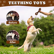 Load image into Gallery viewer, 2 Pack Durable Dog Toys
