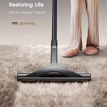 Load image into Gallery viewer, Pet Hair Removal Broom
