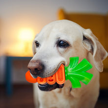 Load image into Gallery viewer, 2pc Dog Toys for Aggressive Chewers
