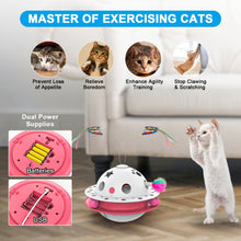 Load image into Gallery viewer, 3-in-1 Cat Toy
