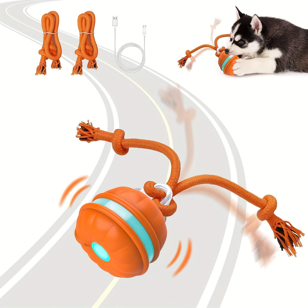 Interactive Dog Ball