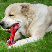 Load image into Gallery viewer, 2pc Dog Toys for Aggressive Chewers
