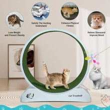 Load image into Gallery viewer, Cat Exercise Wheel
