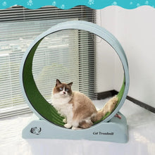 Load image into Gallery viewer, Cat Exercise Wheel
