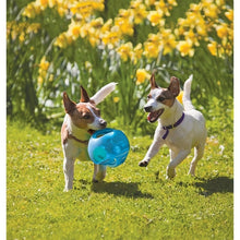 Load image into Gallery viewer, Interactive 2-in-1 Dog Jumbler Toy
