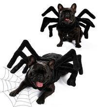 Load image into Gallery viewer, Spider Costume for Halloween 4 Sizes
