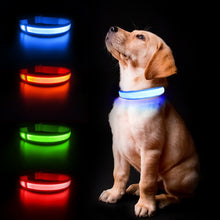 Load image into Gallery viewer, MASBRILL Luminous Waterpoof Safety Collars
