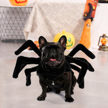 Load image into Gallery viewer, Spider Costume for Halloween 4 Sizes
