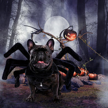 Load image into Gallery viewer, Spider Costume for Halloween 4 Sizes
