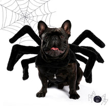 Load image into Gallery viewer, Spider Costume for Halloween 4 Sizes
