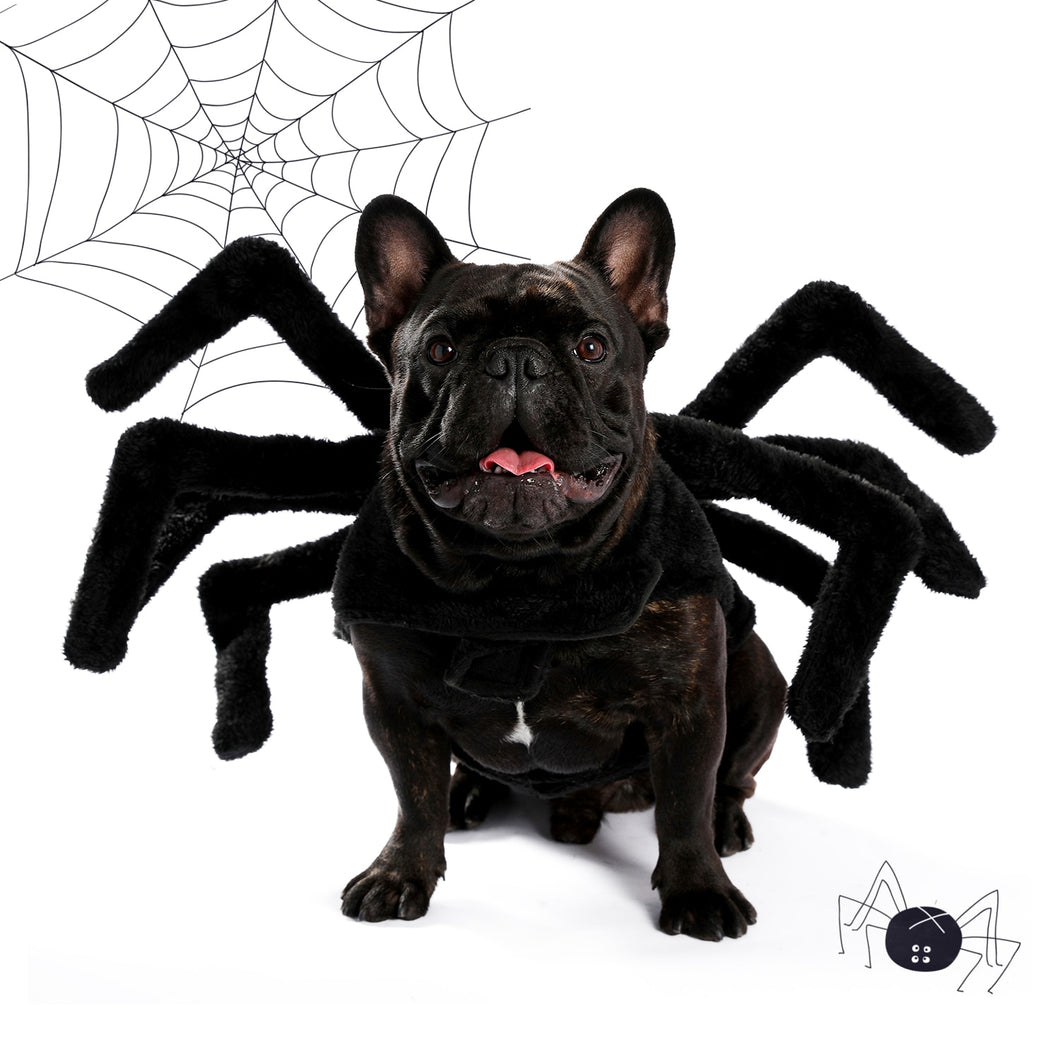 Spider Costume for Halloween 4 Sizes