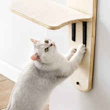 Load image into Gallery viewer, MEWOOFUN Hanging Climbing Tree Tower Cat Toys
