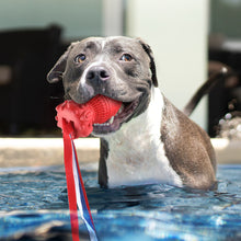 Load image into Gallery viewer, MASBRILL Indestructible Rubber Squeaky Teeth Cleaning Toy
