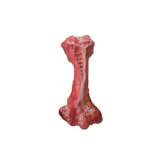 Load image into Gallery viewer, MASBRILL Aggressive Chewers Dogs Bone-Shaped Indestructible Nylon Interactive Toys Teeth Cleaning - ladybsfinds
