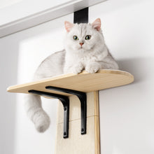 Load image into Gallery viewer, MEWOOFUN Hanging Climbing Tree Tower Cat Toys
