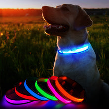 Load image into Gallery viewer, MASBRILL Luminous Waterpoof Safety Collars
