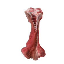 Load image into Gallery viewer, MASBRILL Aggressive Chewers Dogs Bone-Shaped Indestructible Nylon Interactive Toys Teeth Cleaning - ladybsfinds
