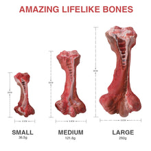 Load image into Gallery viewer, MASBRILL Aggressive Chewers Dogs Bone-Shaped Indestructible Nylon Interactive Toys Teeth Cleaning - ladybsfinds
