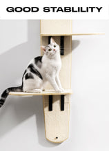 Load image into Gallery viewer, MEWOOFUN Hanging Climbing Tree Tower Cat Toys
