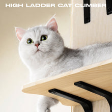 Load image into Gallery viewer, MEWOOFUN Hanging Climbing Tree Tower Cat Toys
