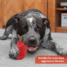 Load image into Gallery viewer, MASBRILL Dog Chew Toys Indestructible Large Breed Aggressive Chewers Tough Dog - ladybsfinds
